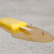 Illustration for article titled Discarded Popsicles Make Surprisingly Good Swimming Pools
